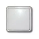 2006020_2