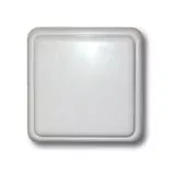 2006020_2